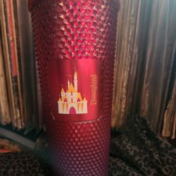 Disneyland 2023 Exclusive 24oz Purple Pink Starbuck Tumbler