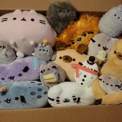 Rare Pusheen Plushies