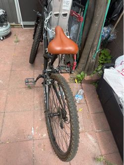 Mountain bike