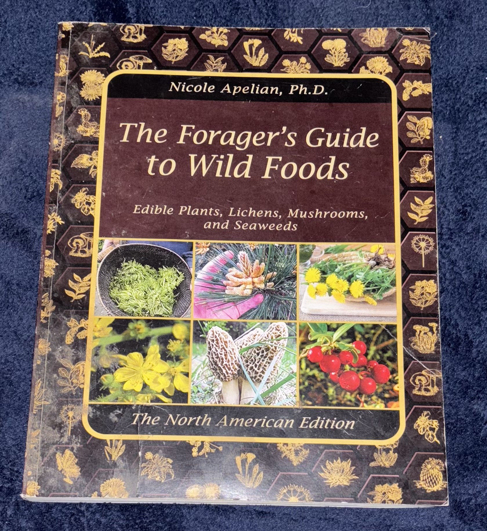 The Forager's Guide to Wild Foods Nicole Apelian