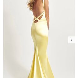 Faviana Elegant Evening Dress NWT
