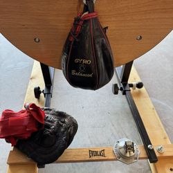 Everlast Speed Bag