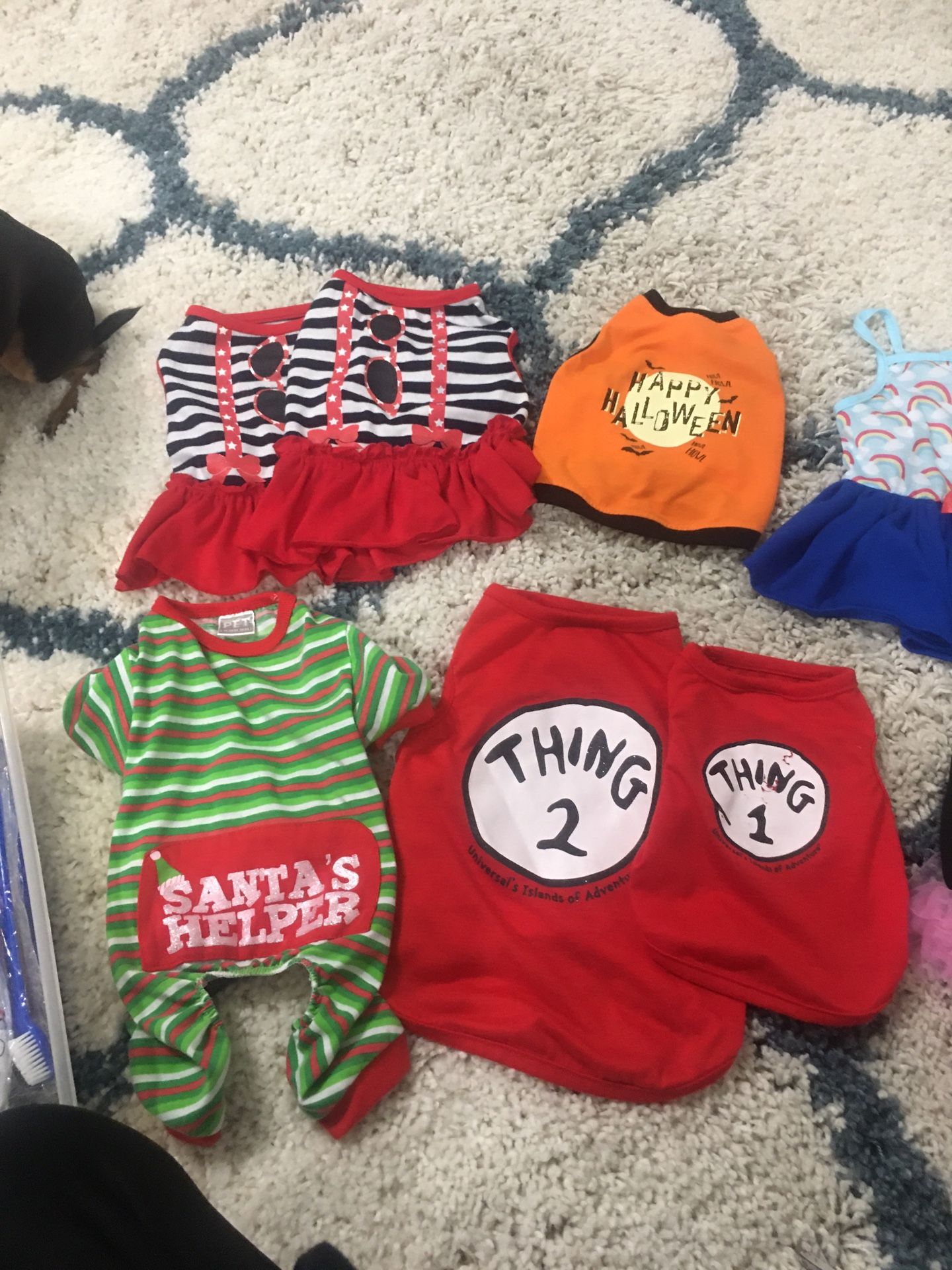 Dog clothes/toys/bowls/items