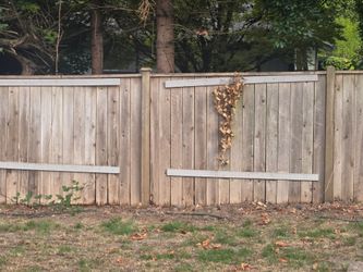 wooden fence