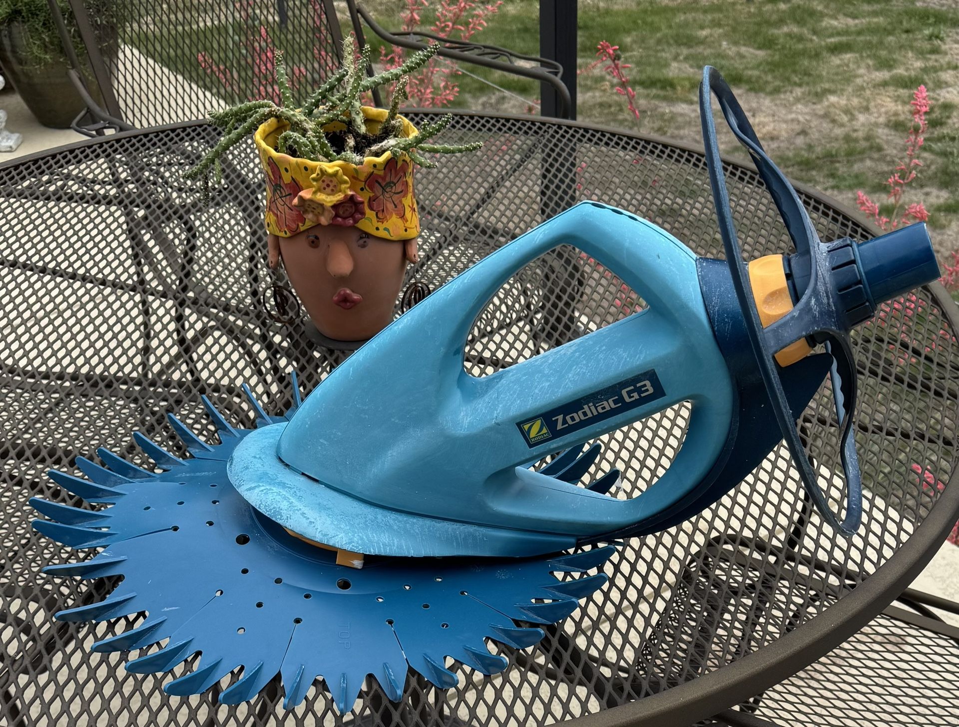 Zodiac Pool Vacuum