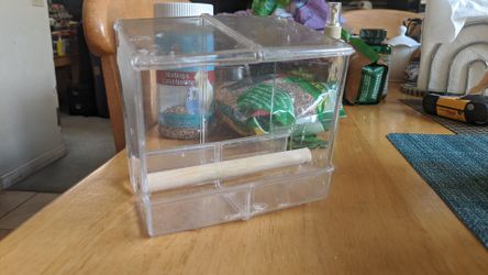 Bird feeder for canaries finches or parakeets