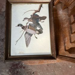 Wood Duck  Wm Zimmerman Painting 