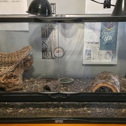 Lizard 🦎 Terrarium for Sale