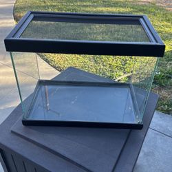 Reptile/terrarium