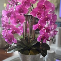 Orquidia Artificial