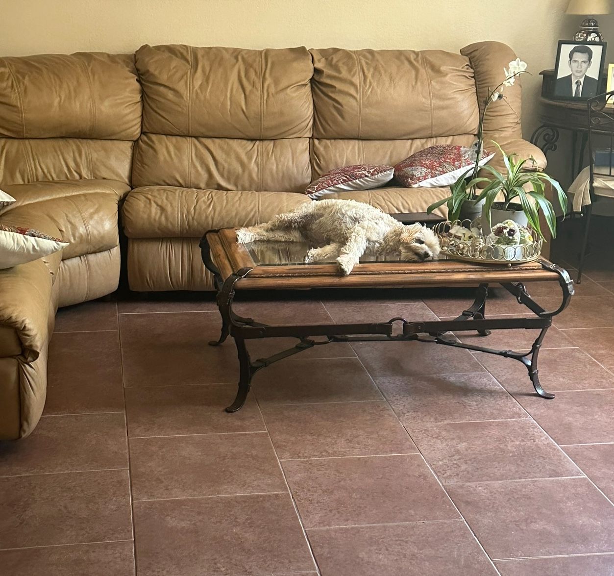 FREE COUCH