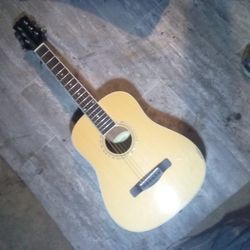 Acoustic Guitar Mitchell