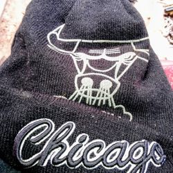 Chicago Bulls  Hat