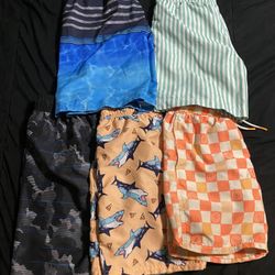 Boys Sz 14 Swim Trunks 
