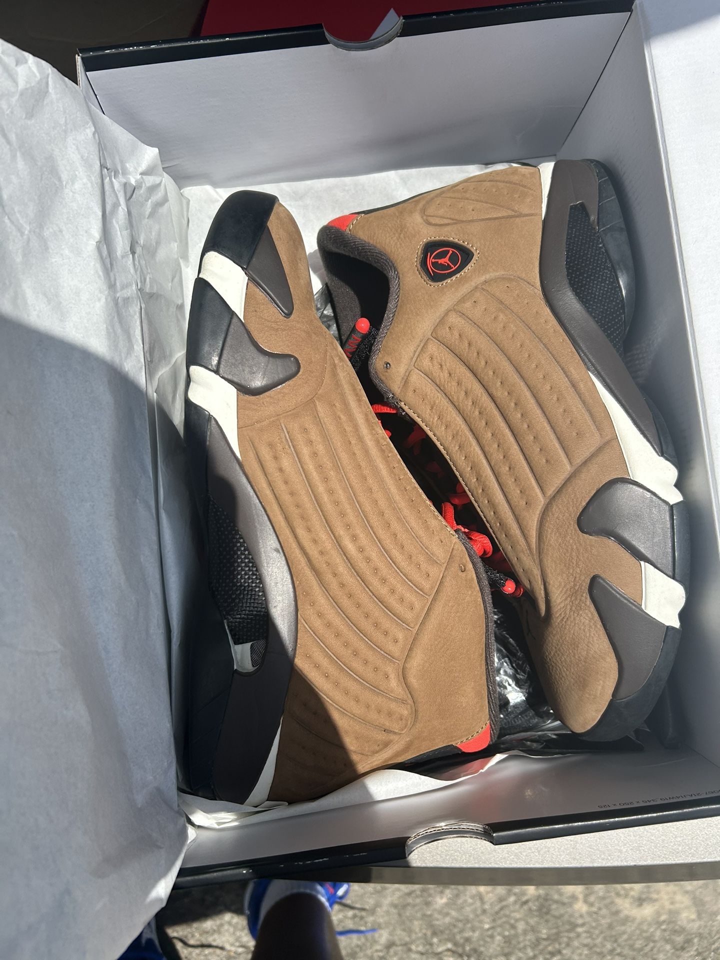 Jordan 14s