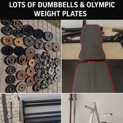 🏋️‍♀️MASSIVE Home Gym Equipment Sale (Over 2,800 lbs Total!) 🏋️‍♀️