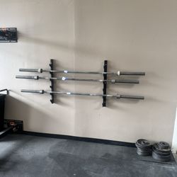 Barbells And Steel Plates 