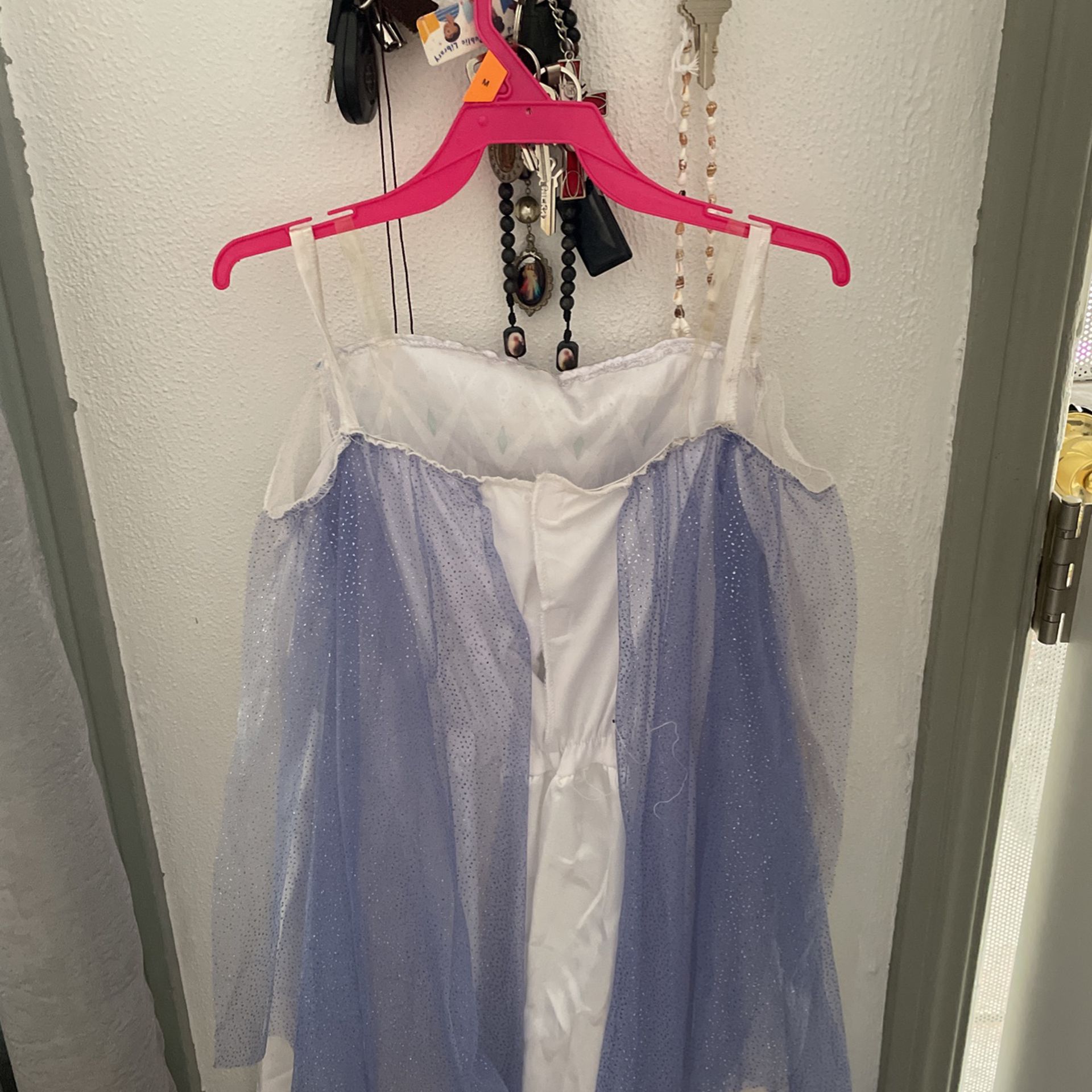 Elsa costume dress 