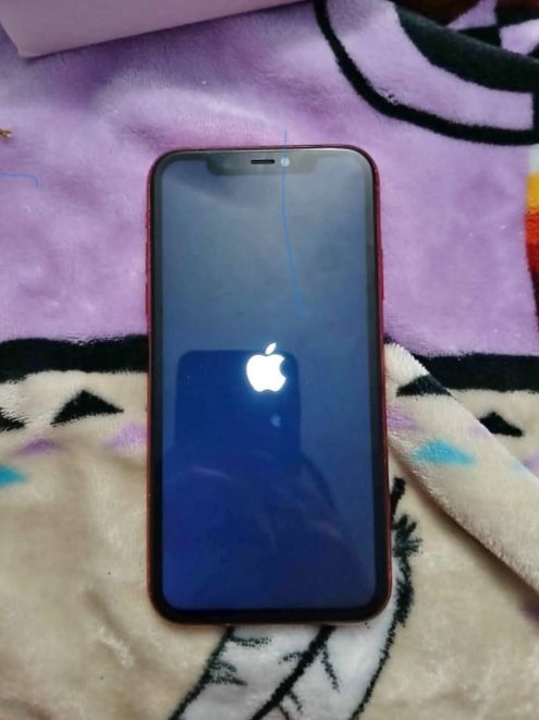 Red iPhone 11