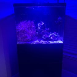 Red Sea Max 130D Aquarium