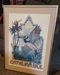 CATALINA picture