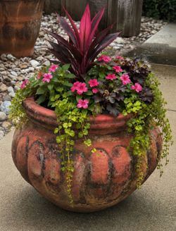 ✨Rustic Terracotta Garden Planter✨