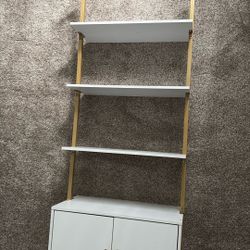 Ladder Shelves 