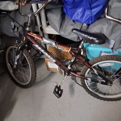 Boys 20" Bike