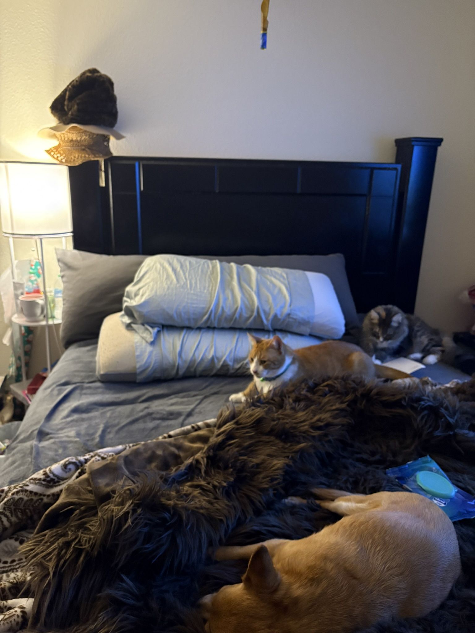 Nice Sturdy Queen Bed For Sale came from Ashley furniture store