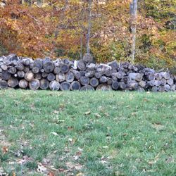 Firewood For Sale