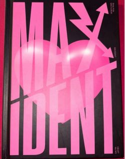 Stray Kids MAXIDENT Mini Album - Heart Ver.