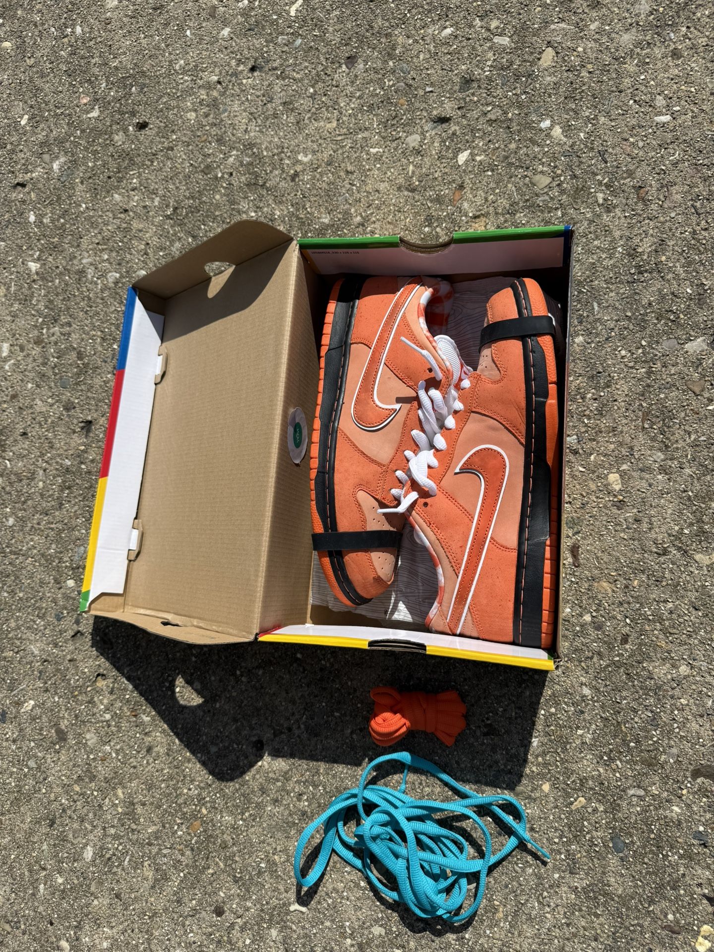 Nike SB Dunk Low Orange Lobster Size 10.5 VNDS/OG ALL