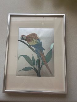 parrot  framed picture (foil)