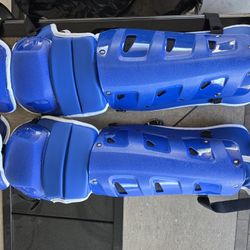 Nike Catchers Shin Guard