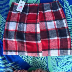 Mini Skirt Large