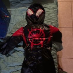 Spiderman Halloween Custom 