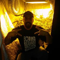 Grow Tent And Hydroponics Equipment 