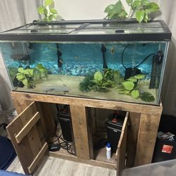 75 Gallon Fish Tank Complete 