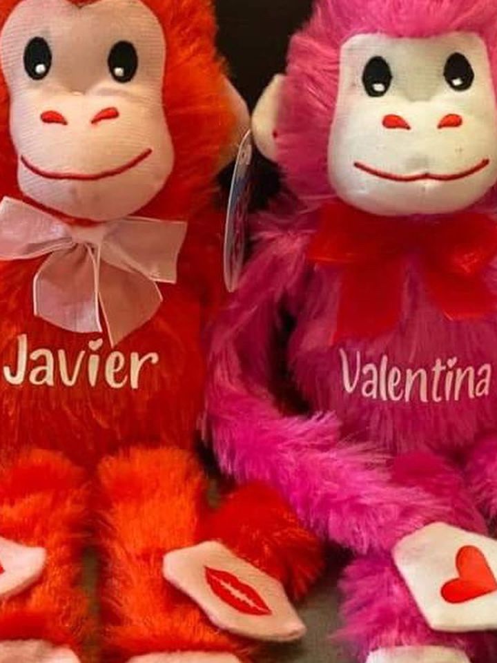 Custom Valentine Stuffed Animals