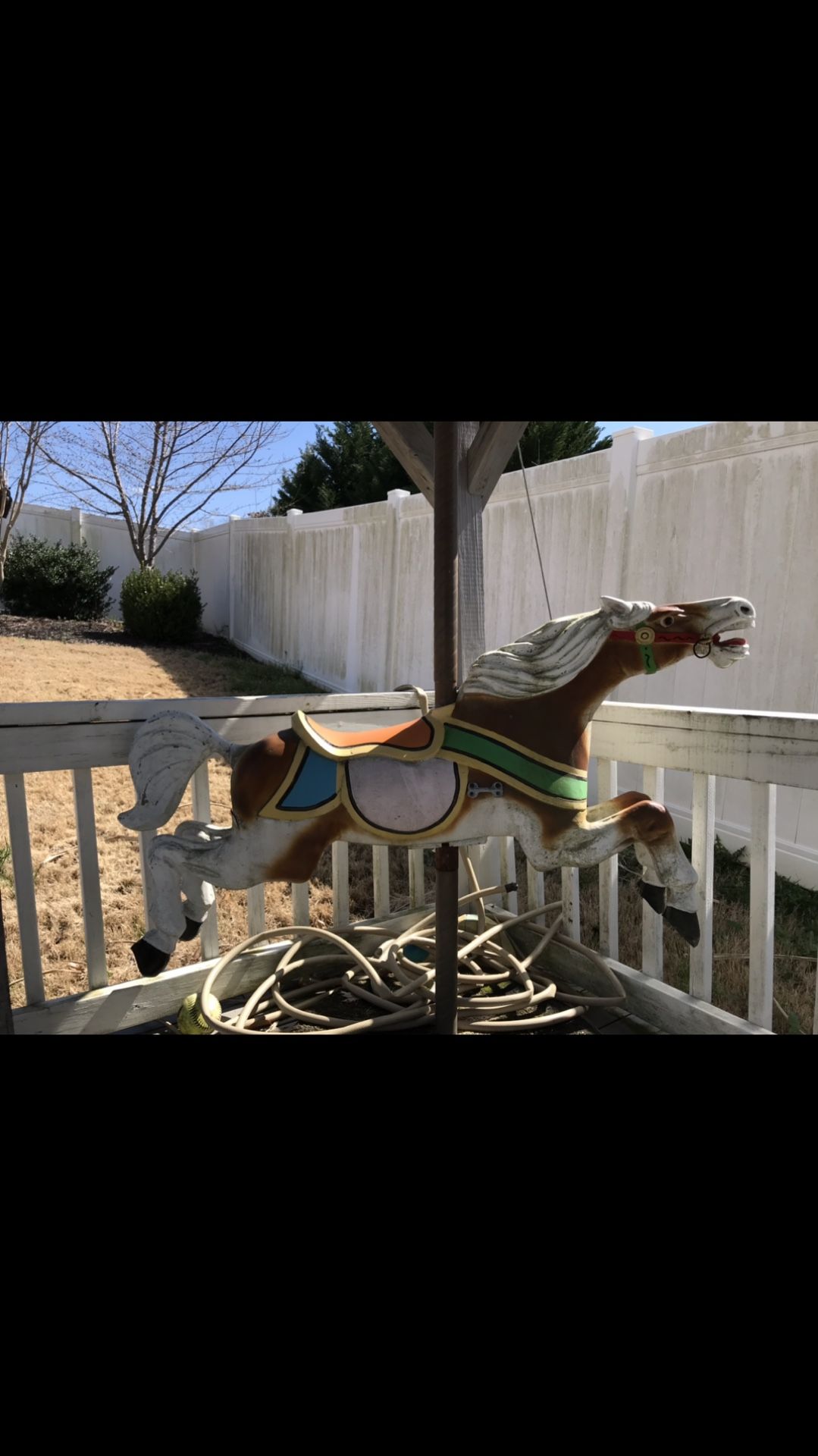 Carousel horse