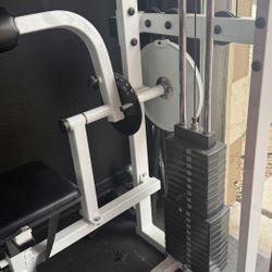 Lower Back And Core Machine 