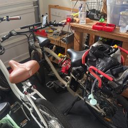 Murf Electric bike With Kids Seats