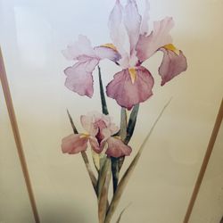 Framed Lyn Snow Watercolor Lithograph Print Devon Iris 25" Wall Art