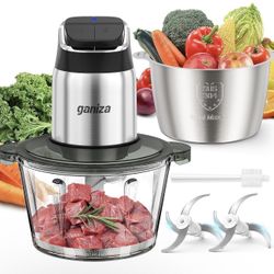 Ganiza Food Processor