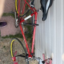 Vintage Schwinn Bicycle 