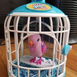 Little Live Pets Bird
