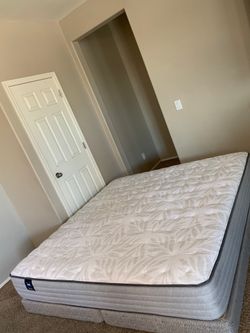 KING SEALY MATTRESS AND FREE BOX SPRINGS