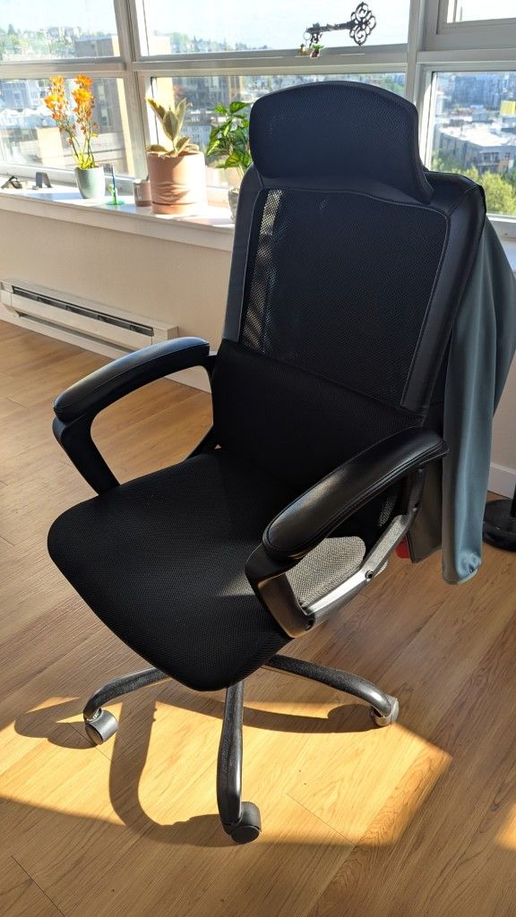 Office Chair, cushioned, adjustable, with coat hanger in the back
