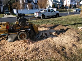 Stump removal