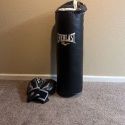 Everlast 70lb Bag And Gloves 